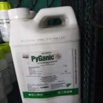 2adef268-f29a-481c-97c7-7e2a110d26e1